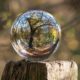 Integrative Medicine