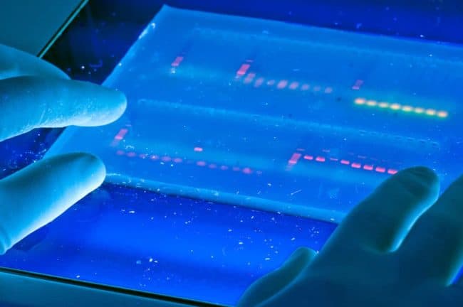 Could the MTHFR Gene be the Secret to Healing Your Mold Illness