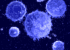 SIBO: A Real Sucker Punch to Your Gut