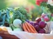 The Mold Detox Diet