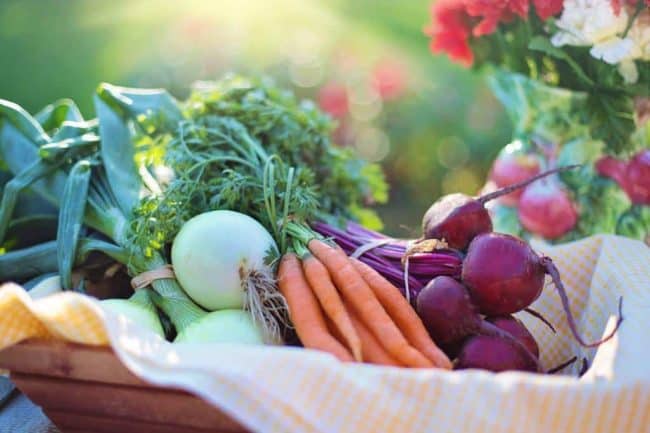 The Mold Detox Diet