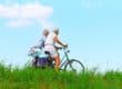 alzheimer's microbiome