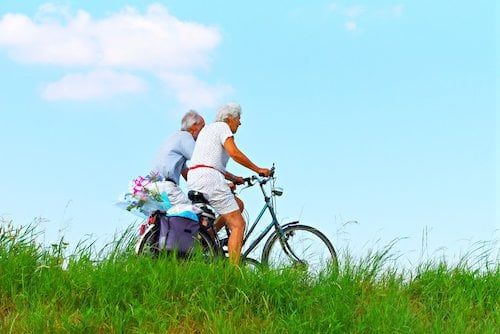alzheimer's microbiome